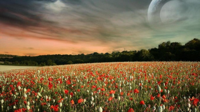 现在还有人一直坚持使用 Eclipse，不使用 IntelliJ IDEA 吗？